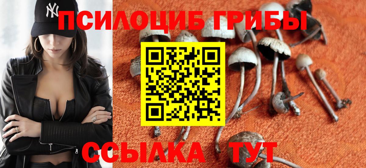 Псилоцибиновые грибы мухоморы  Вход с VPN  Галлюциногенные грибы ЛСД  Верхняя Салда 