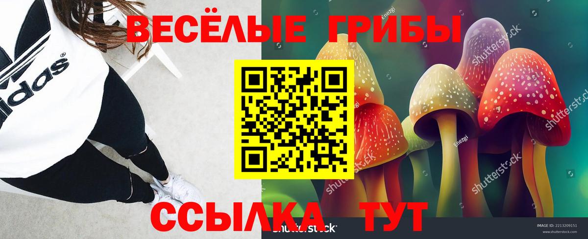 Галлюциногенные грибы Magic Shrooms Верхняя Салда